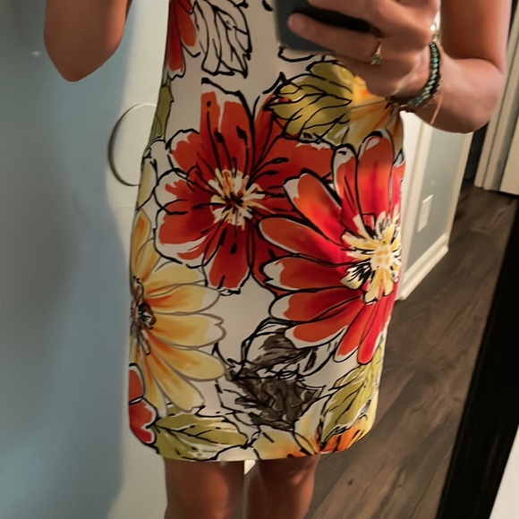 Sundress - Picture 3 of 4